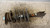 FIAT TEMPRA (1990) ASSALE AMMORTIZZATORE ANT. SX. USATO Da 1990 A 1993 [[234733]]