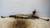 FORD FOCUS «III» (2008) STERZO SCATOLA STERZO C/SERVOSTERZO USATO Da 2008 A 2011 [[234843]]