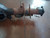 SUZUKI JIMNY «I» (1999) ASSALE ASSALE POST. USATO Da 1998 A 2004 [[235005]]
