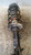 FORD ECOSPORT (2013) ASSALE AMMORTIZZATORE ANT. SX. USATO Da 2015 A 2017 [[234930]]