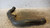 ALFA ROMEO GT (2004) SCARICO E INIEZIONE MANICOTTO INTERCOOLER SUP. USATO Da 2003 A 2010 [[235230]]