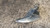 LANCIA Y (YPSILON) (1996) FANALERIA FANALINO COMPLETO ANT. SX. USATO Da 2001 A 2003 [[234862]]