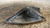 LANCIA Y (YPSILON) (1996) FANALERIA FANALINO COMPLETO ANT. SX. USATO Da 2001 A 2003 [[234862]]