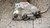 FIAT SEDICI (2006) LAMIERATI ESTERNI SERRATURA PORTA ANT. DX. USATO Da 2009 in poi [[235083]]