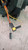 CITROEN C3 PLURIEL (2003) STERZO DEVIOGUIDA COMPLETO USATO Da 2004 A 2011 [[229507]]
