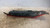 FIAT PUNTO «II» (2000) FANALERIA FANALE POST. SX. USATO Da 1999 A 2003 [[234727]]