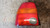 SEAT AROSA «6H1» (1997) FANALERIA FANALE POST. SX. USATO Da 1997 A 1997 [[233951]]
