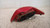 PEUGEOT 307 «I» (2001) FANALERIA FANALE POST. SX. USATO Da 2001 A 2005 [[233019]]
