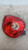 DR DR1 (01/10>) FANALERIA FANALE POST. SX. USATO [[215950]]
