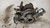 NISSAN QASHQAI «II» (2014) SCARICO E INIEZIONE TURBINA USATO Da 2014 A 2017 [[235676]]