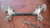 FORD ECOSPORT (2013) ASSALE ASSALE POST. USATO Da 2015 A 2017 [[235051]]