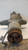 FIAT FREEMONT (2011) CAMBIO E TRASMISSIONE DIFFERENZIALE POST. USATO Da 2011 A 2014 [[235876]]
