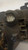 FIAT STILO SW (2002) FANALERIA PROIETTORE ANT. SX. USATO Da 2005 A 2008 [[236069]]