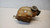 FIAT FREEMONT (2011) TERMICO VASCHETTA ACQUA USATO Da 2011 A 2014 [[236187]]
