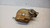 FIAT FREEMONT (2011) TERMICO VASCHETTA ACQUA USATO Da 2011 A 2014 [[236187]]
