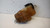 FIAT FREEMONT (2011) TERMICO VASCHETTA ACQUA USATO Da 2011 A 2014 [[236187]]