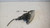 LANCIA Y (YPSILON) (1996) FANALERIA FANALINO COMPLETO ANT. DX. USATO Da 2001 A 2003 [[236236]]
