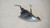 LANCIA Y (YPSILON) (1996) FANALERIA FANALINO COMPLETO ANT. DX. USATO Da 2001 A 2003 [[236236]]