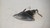 LANCIA Y (YPSILON) (1996) FANALERIA FANALINO COMPLETO ANT. SX. USATO Da 2001 A 2003 [[235989]]
