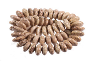 14mm Turquoise Rondelle Beads 15.5" stabilized [t3y14a]