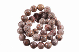 6mm Fossil Agate Round Beads 15.5" natural [6r68]