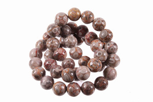 8mm Fossil Agate Round Beads 15.5" natural [8r68]