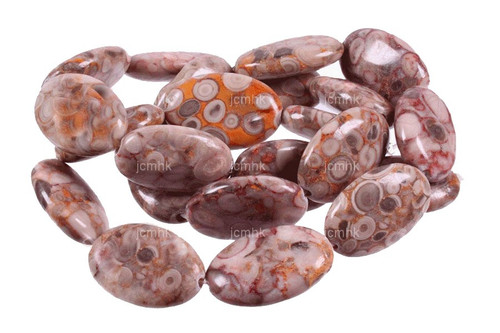 25x35mm Fossil Jasper Oval Beads 15.5" natural [w213]