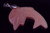 28x42mm Red Aventurine Dolphin Pendant [y501g]
