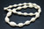 12x8mm-12x18mm Buffalo Bone Necklace 18" [z7644]
