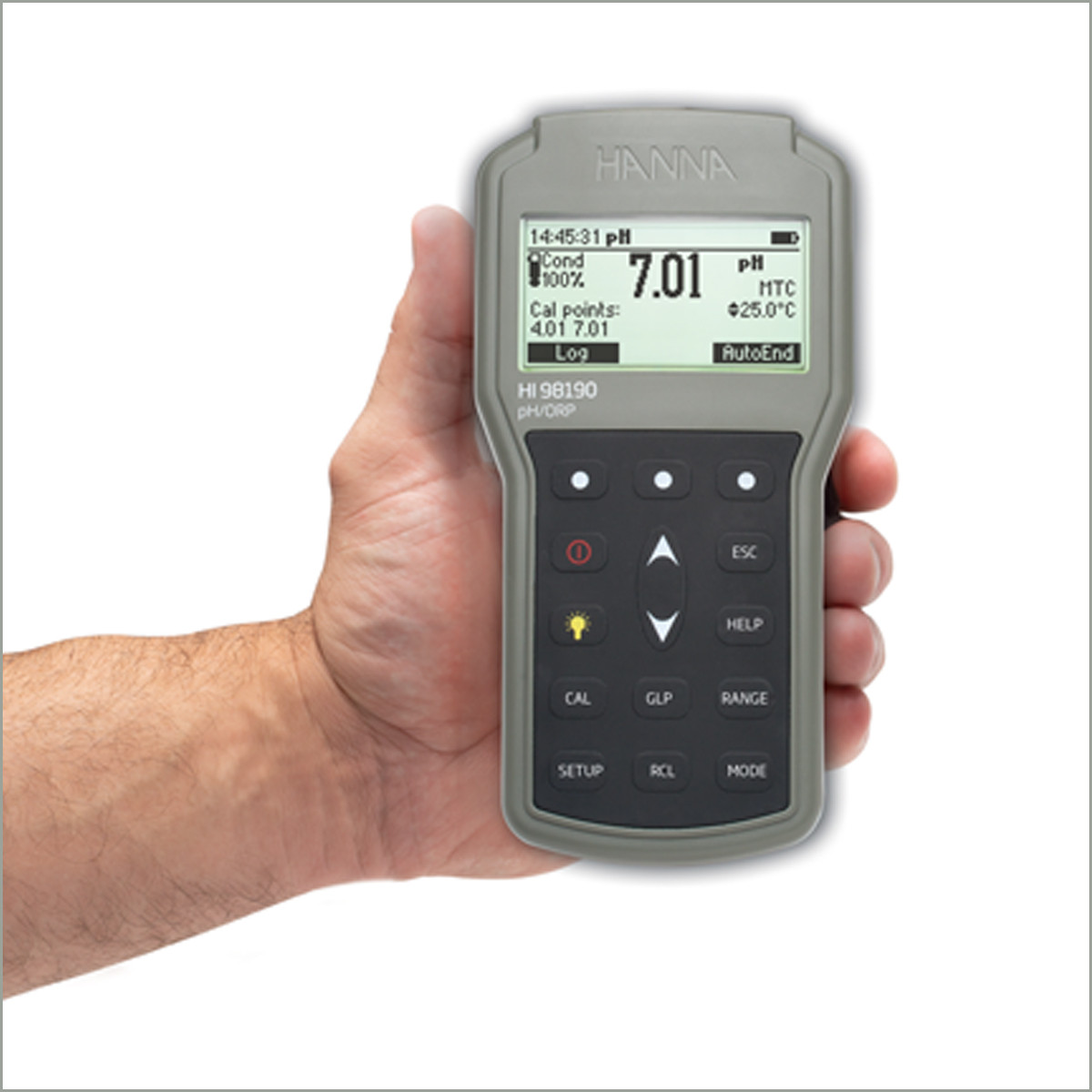 Portable pH & ORP Meter - HI98190