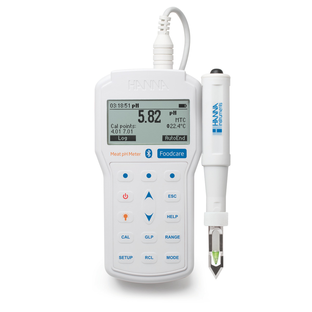 Professional Portable Meat pH Meter - HI98163