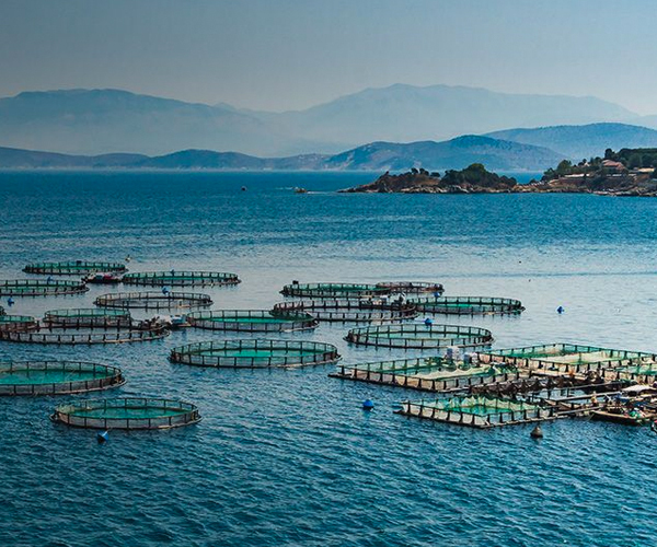 Aquaculture