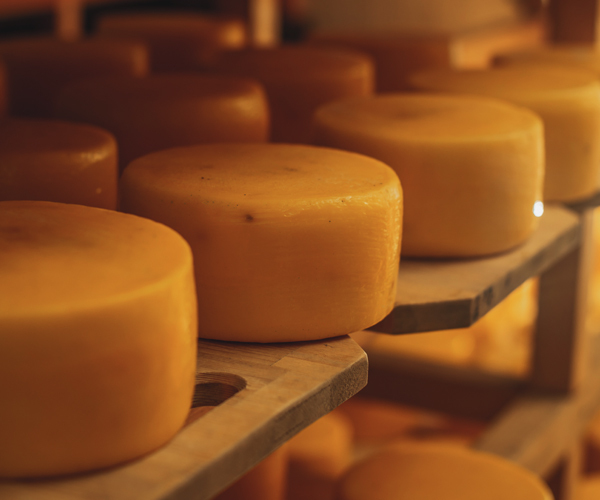 Dairy