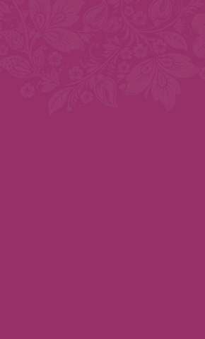 Shop Our Flavor Line-Up