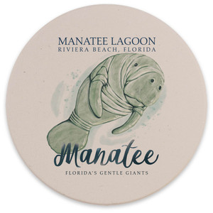 Lantern Press Car Coasters