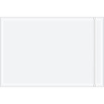 6 x 9" Resealable "Clear Face" Document Envelopes - 1000/Case