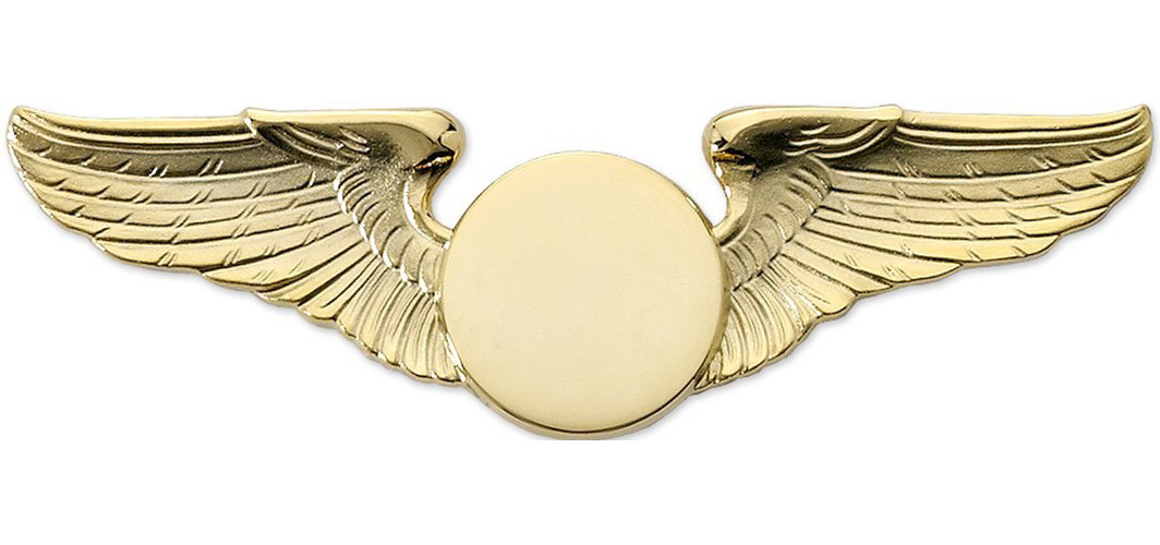 Gold Pilot Wings - Double-Wing Modern Large Wings
