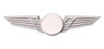 Pilot Wings - Double-Wing Modern Large - Silver