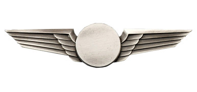 Silver Oxide Pilots Aviation Wings Pin - Double Wings | MG Pilot Shop