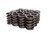 1.269 Dia Outer Valve Springs- With Damper, by COMP CAMS, Man. Part # 984-16