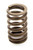 1.250 Valve Spring - SBC for 602 Crate Engine, by CHEVROLET PERFORMANCE, Man. Part # 10212811