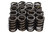 1.265 Valve Springs w/ Damper, by HOWARDS RACING COMPONENTS, Man. Part # 98213RS