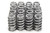 Beehive RPM Series Valve Springs Ford 5.0L Coyote, by PAC RACING SPRINGS, Man. Part # PAC-1217X
