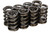 1.235 Dual Valve Springs (8pk), by ISKY CAMS, Man. Part # 625/626-8