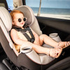 Maxi-Cosi Pria Chill All-in-One Convertible Car Seat in Chill