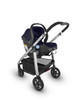 UPPAbaby Mesa Infant Carseat in Taylor(Navy)