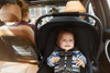 Nuna PIPA Lite LX Infant Car Seat w/ Base in Aspen