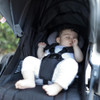 Ergobaby 180 Reversible Stroller Comfort Cushion