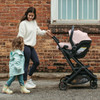 UPPAbaby MESA V2 Infant Car Seat - ALICE (dusty pink)