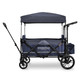 Wonderfold X4 Push & Pull Quad Stroller Wagon with Automated Magentic Buckles in Blueberry Blue